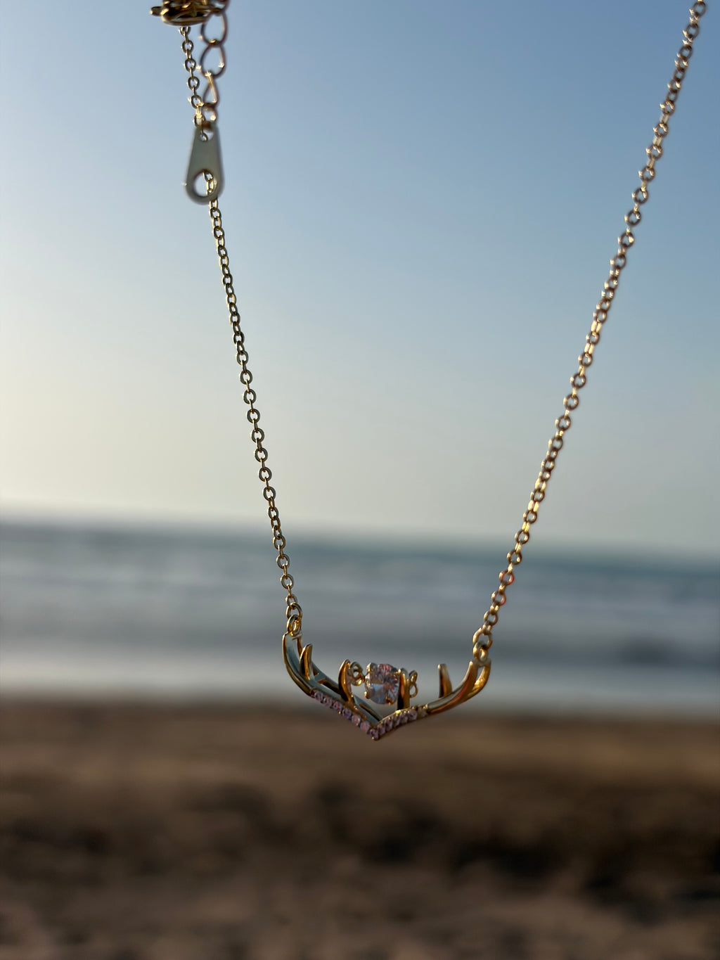Wings Necklace